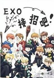 EXO，接招吧！