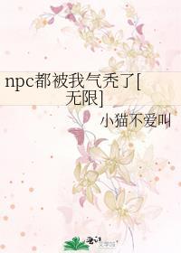 npc都被我气秃了[无限]