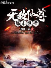 无敌仙尊都市纵横(仙尊归来)