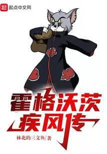 霍格沃茨疾风传