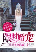 限时婚宠:腹黑老公请敲门