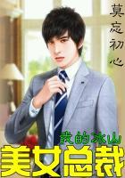 我的冰山美女总裁