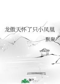 龙傲天怀了只小凤凰
